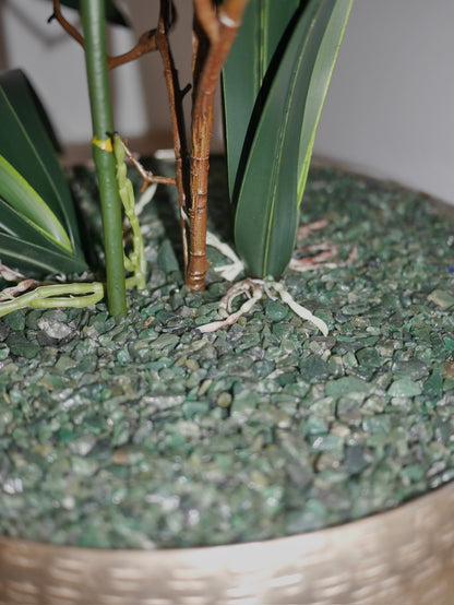 Crème Elite Orchid close up of genuine green aventurine crystal bed with shimmering verdant hues in champagne gold planter