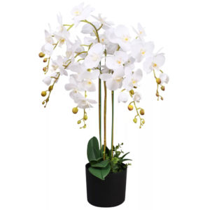 Delux orchid 85cm in plastic pot