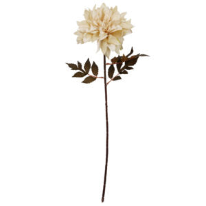 55cm Dahlia Flower Stem – Dusty cream x 6 silk stems