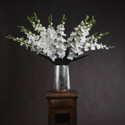 Tall White Gladioli