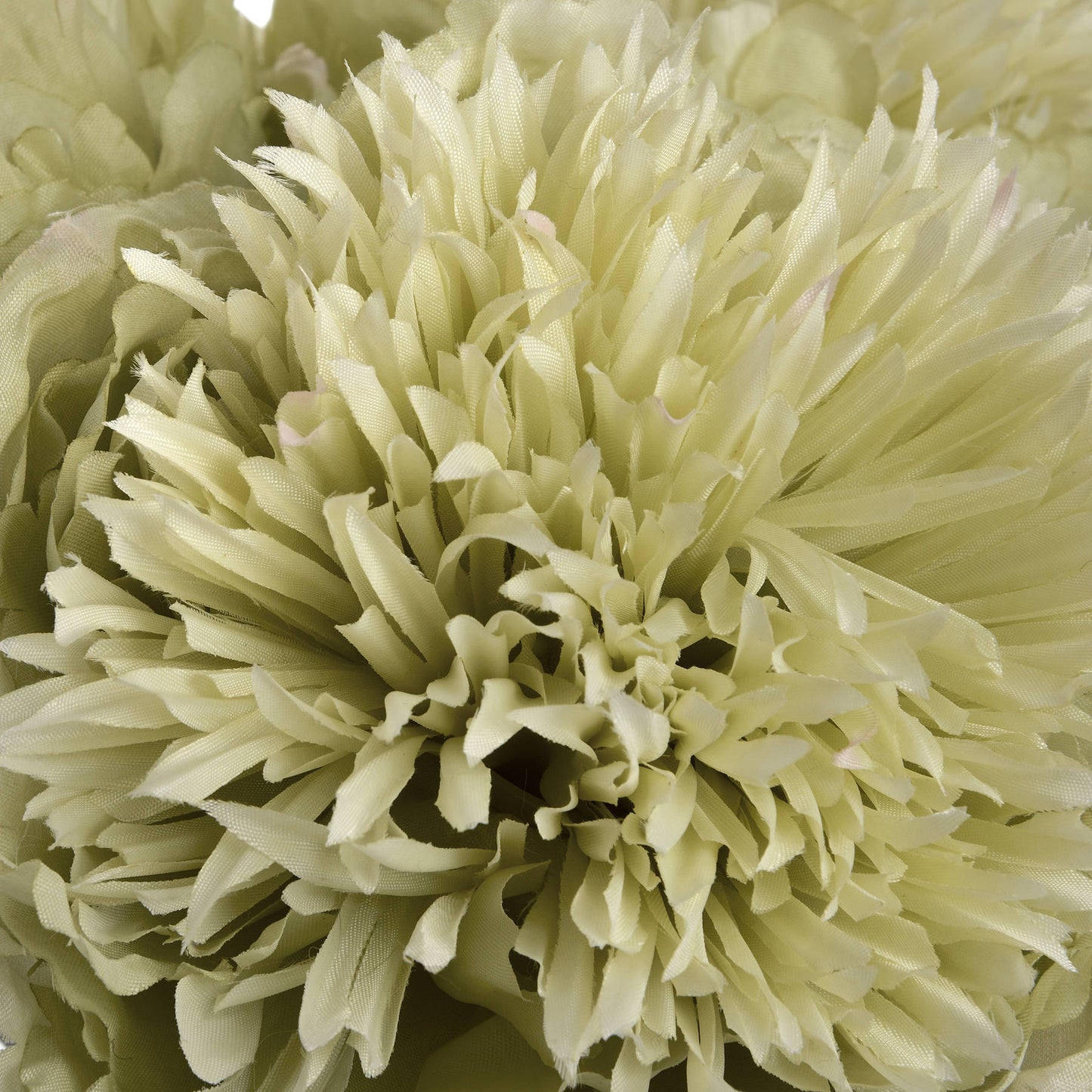 Green Peony - OUT OF STOCK