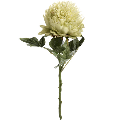 Green Peony - OUT OF STOCK