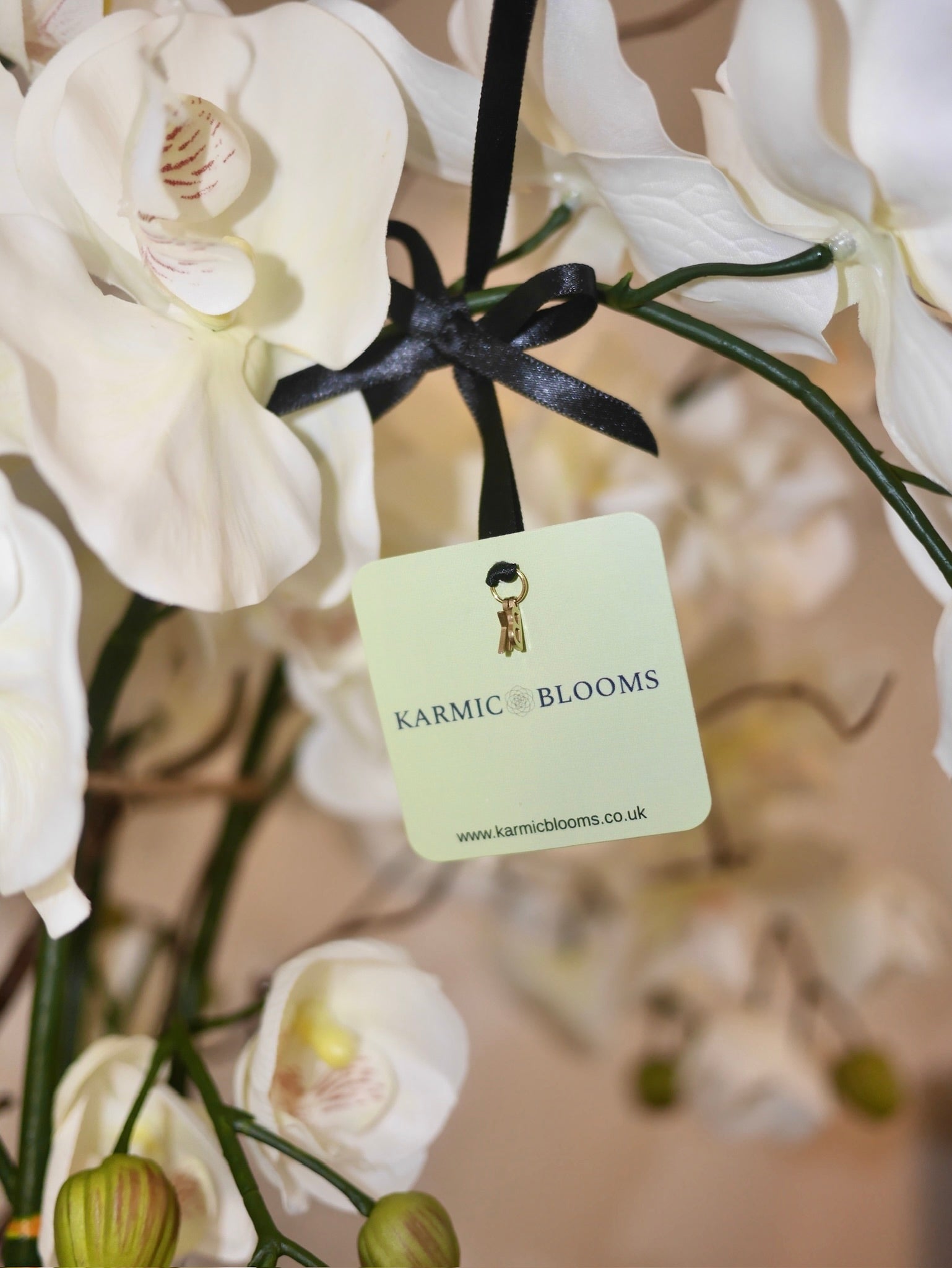 Halo Blush Orchid close up of blush pink real touch orchid blooms with Karmic Blooms branded label