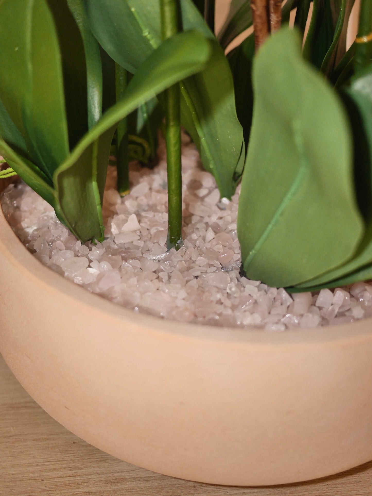 Halo Blush Orchid close up of genuine rose quartz crystal bed with soft pink hues in elegant bowl