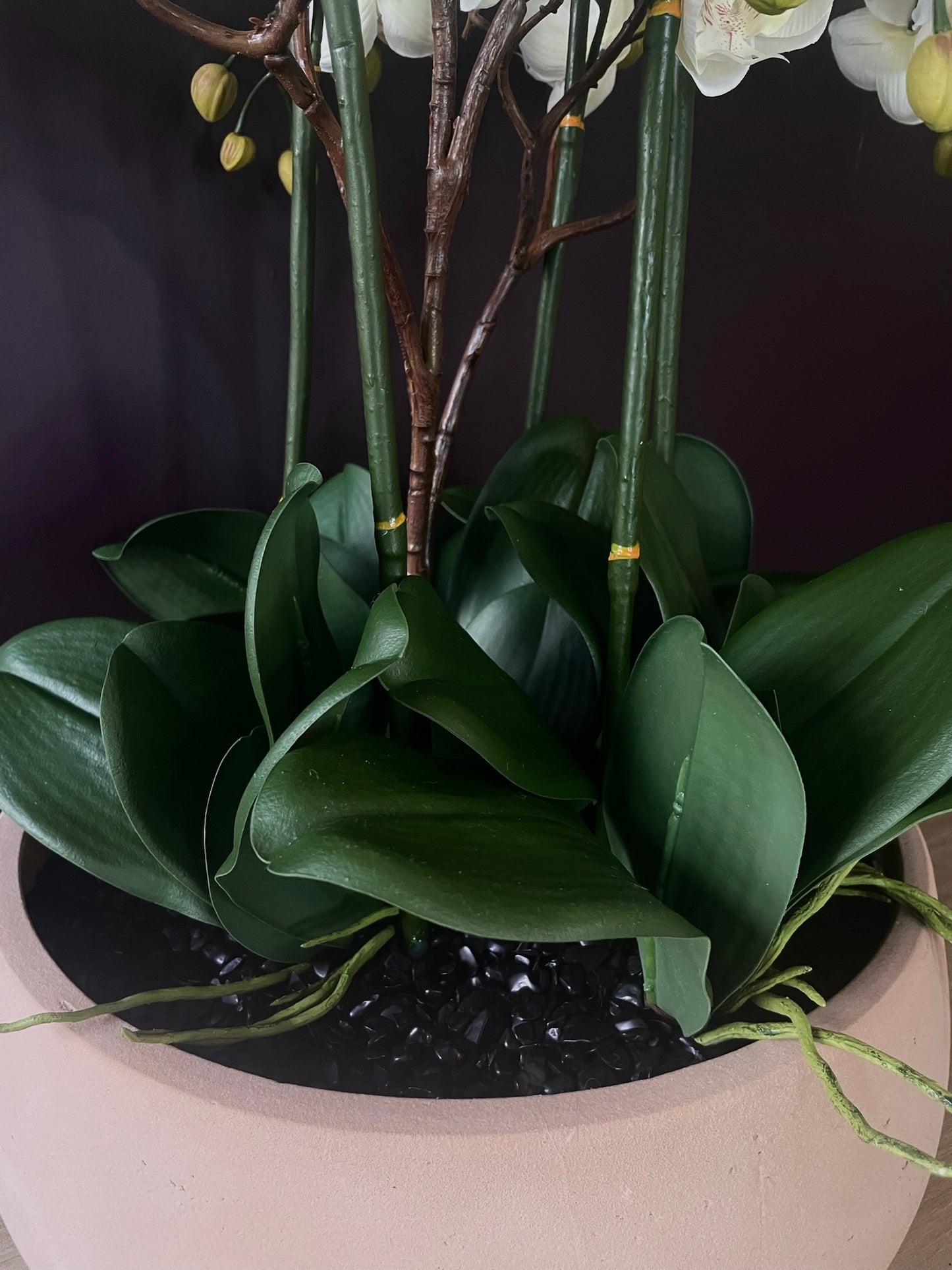 Halo Noir Orchid close up of dark bowl with lush green foliage and black tourmaline crystal bed
