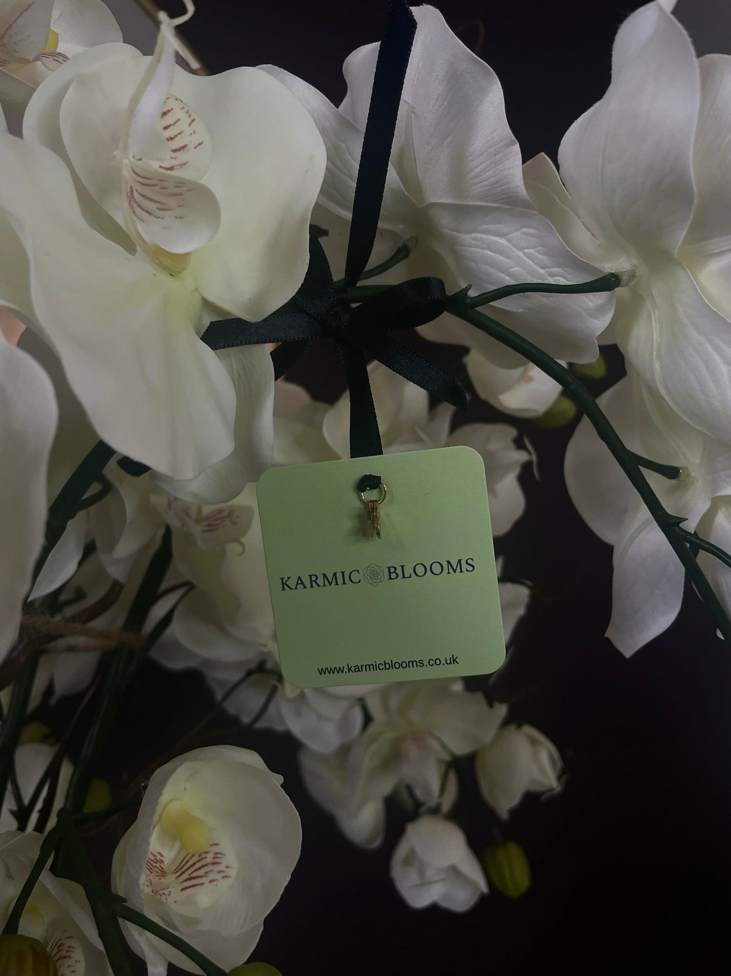 Halo Noir Orchid close up of creamy white real touch orchid blooms with Karmic Blooms branded label File: