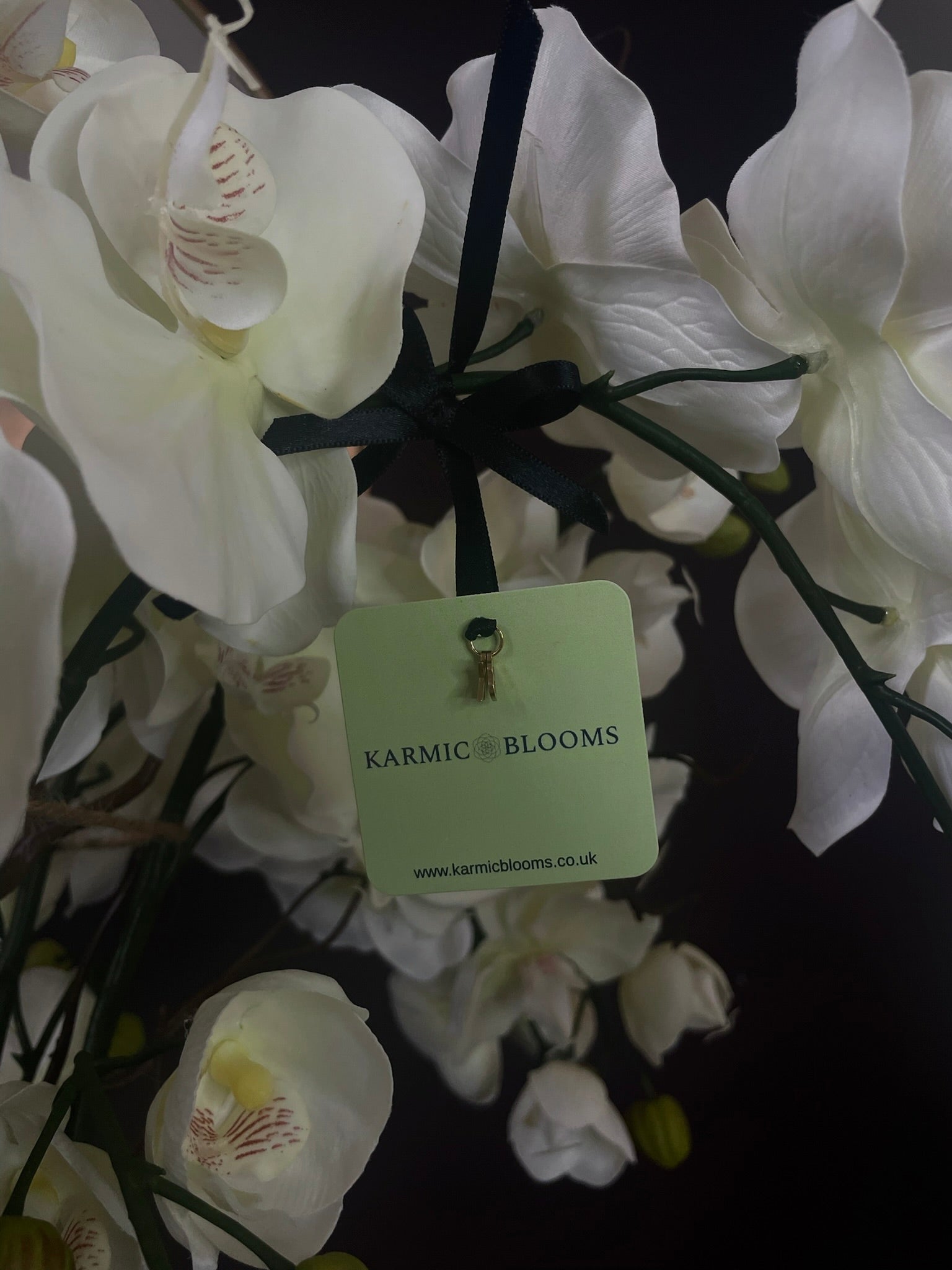 Halo Noir Orchid close up of creamy white real touch orchid blooms with Karmic Blooms branded label File: