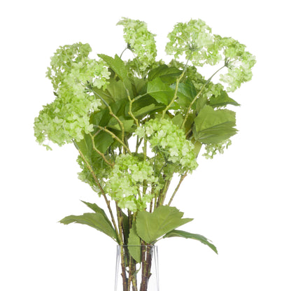 4 x green Viburnum Sprays