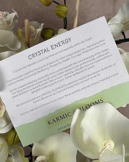 Kensington Noir Orchid with Black Tourmaline ©