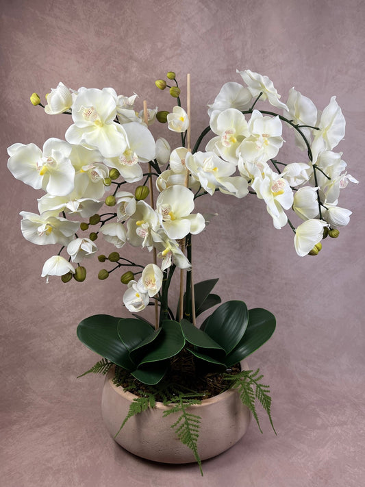 Islington Aura Orchid with Tigers Eye ©