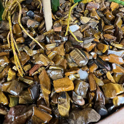 Islington Aura Orchid with Tigers Eye ©