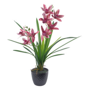 50cm Artificial Orchid in Ceramic Planter