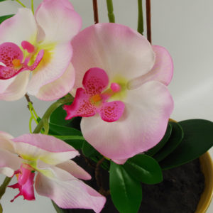 65cms Light pink orchid in Glazed Planter