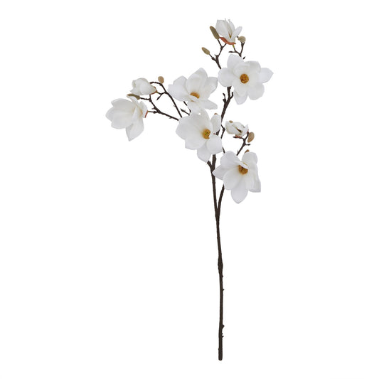 Natural garden White Magnolia Stem