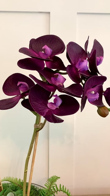 Opulent Orchid ©