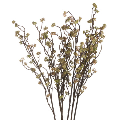 Sedum Branch in Bloom Filler