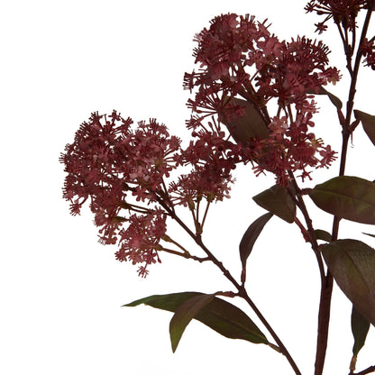 Medium Smokebush Stem in Burgundy