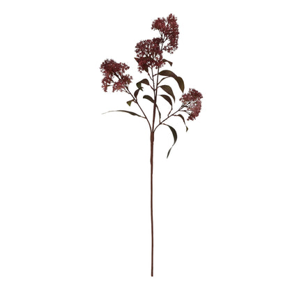Medium Smokebush Stem in Burgundy