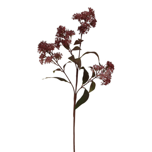 Medium Smokebush Stem in Burgundy