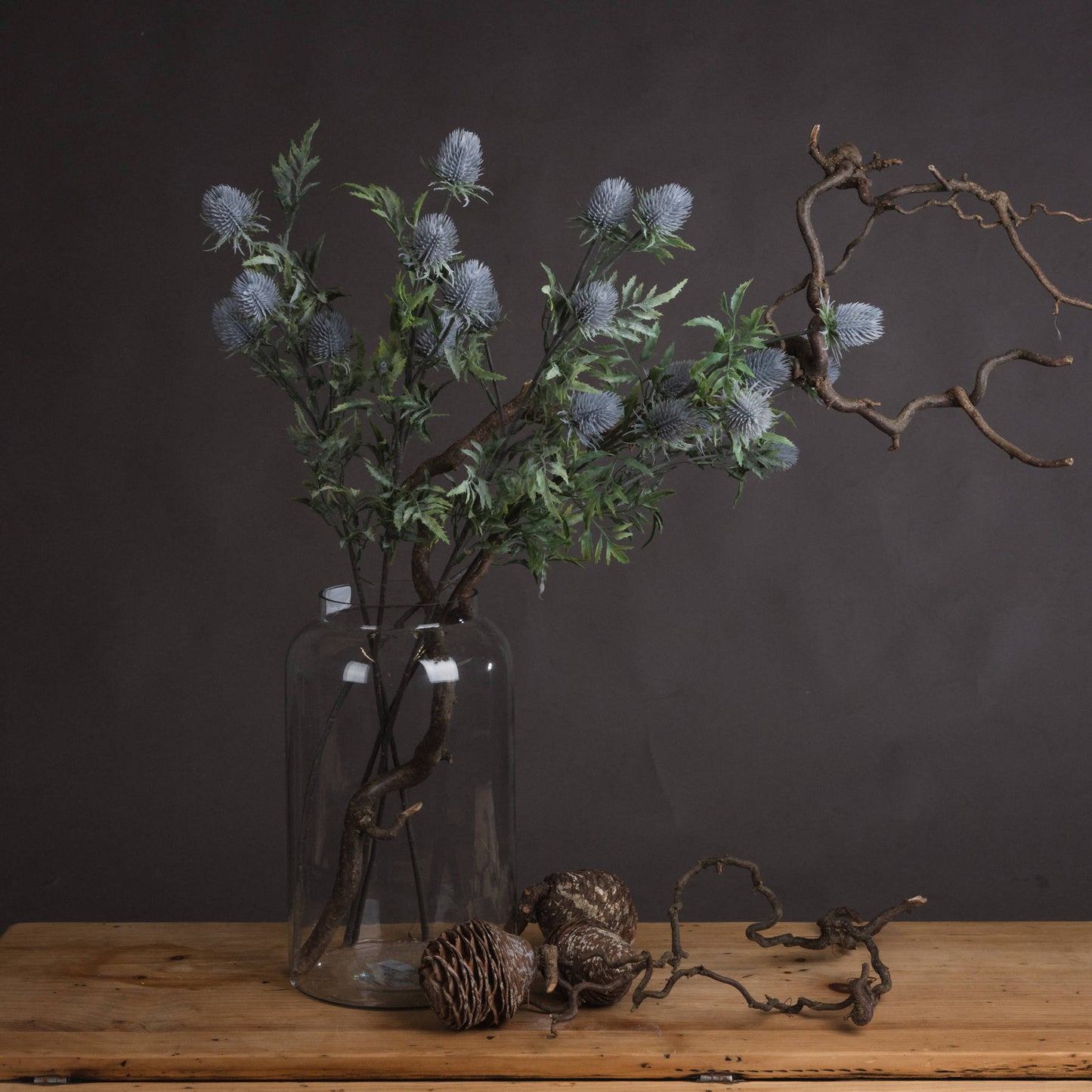 Blue Thistle single stem