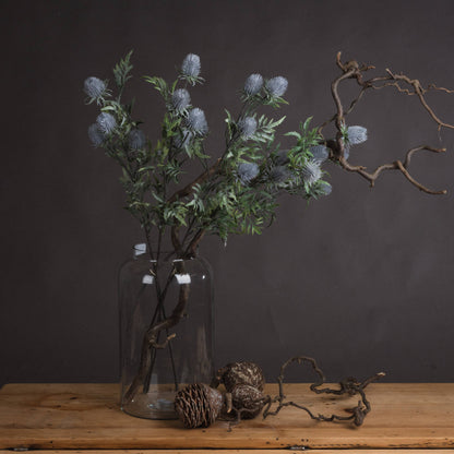 Blue Thistle single stem