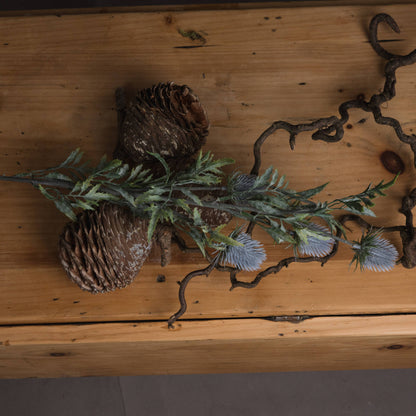 Blue Thistle single stem
