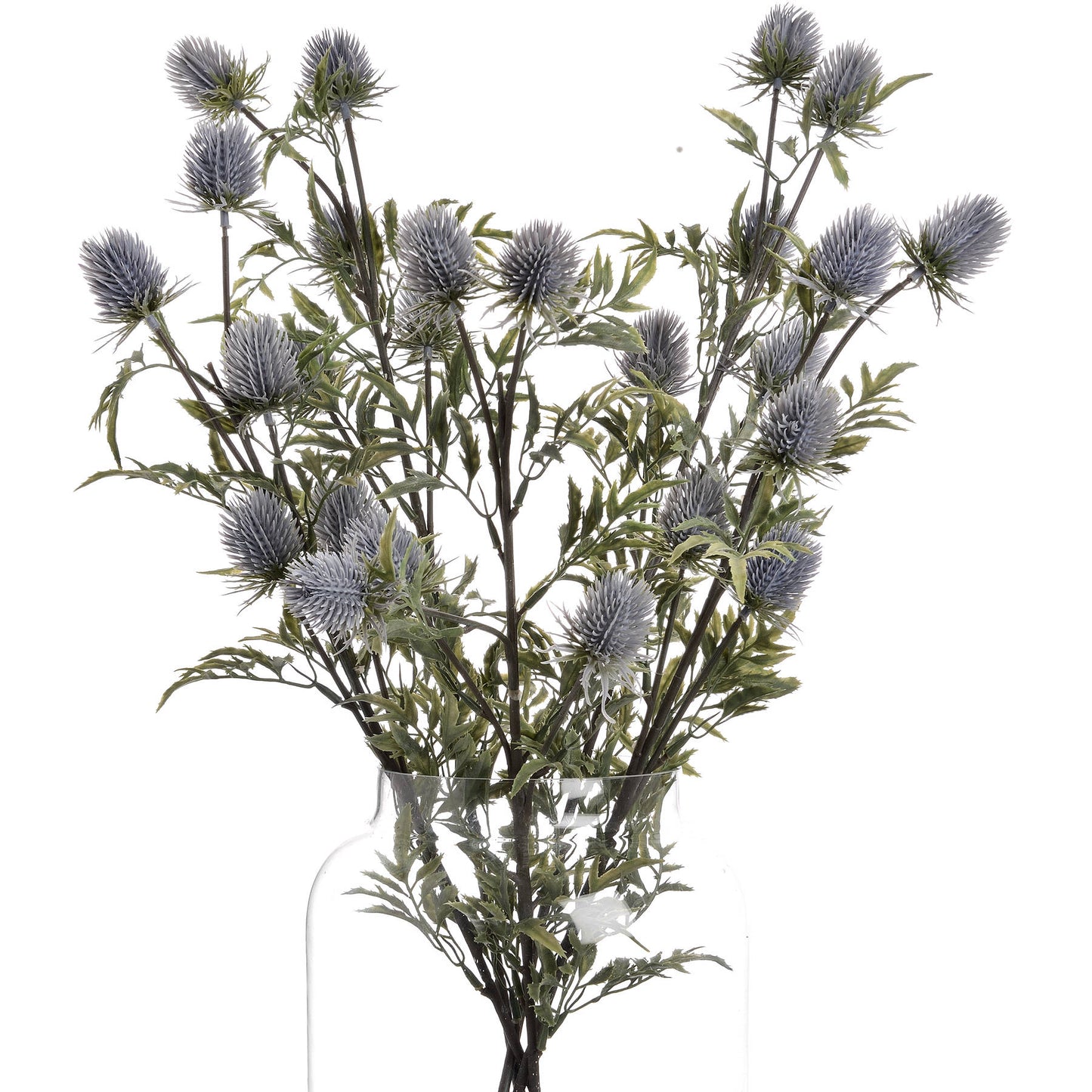 Blue Thistle single stem