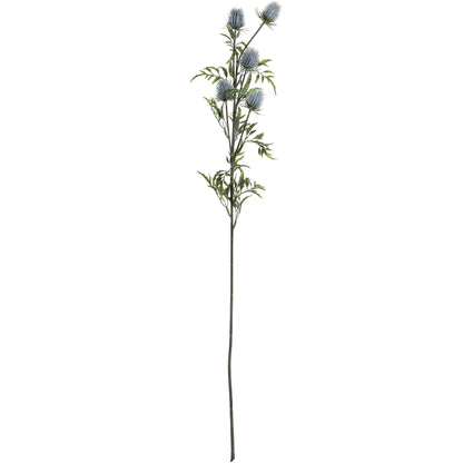 Blue Thistle single stem