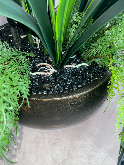 Kensington Noir Orchid with Black Tourmaline ©