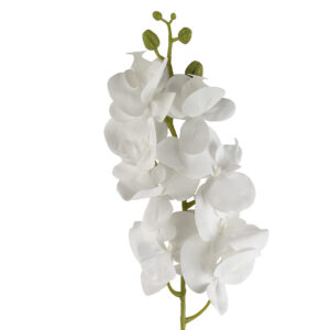 Pack of 6 x 100cm Artificial Phalaenopsis Orchid White Stems