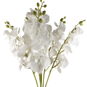 Pack of 6 x 100cm Artificial Phalaenopsis Orchid White Stems