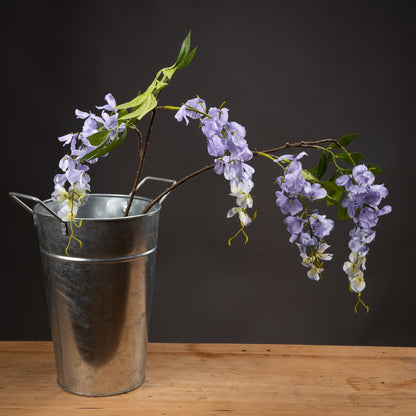 Blooming Lilac Wisteria