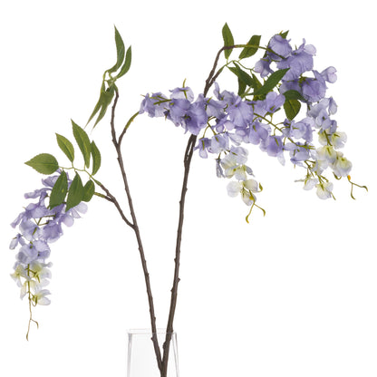 Blooming Lilac Wisteria